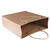50pcs Kraft Paper Carry Bags Shopping Gift Handbags with Handles Bulk Brown
