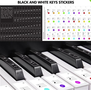Karrera 61 Keys Electronic Keyboard Pian