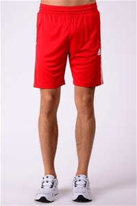 Adidas Men's Flanker Shorts