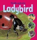 Life Cycle of a Ladybird