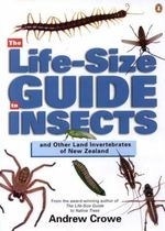 The Life-Size Guide to Insects and Other