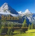 Brahms:chamber Music for Winds & Stri