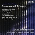 Encounters With Schumann