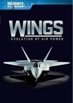 Wings:evolution of Air Power