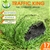 100SQM Artificial Grass Lawn Outdoor Synthetic Turf Plastic Plant Lawn