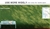 70SQM Artificial Grass Lawn Outdoor Synthetic Turf Plastic Plant Lawn