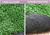 30SQM Artificial Grass Lawn Outdoor Synthetic Turf Plastic Plant Lawn