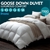 DreamZ 700GSM All Season Goose Down Feather Filling Duvet in King Single