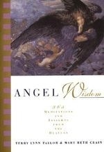 Angel Wisdom: 365 Meditations and Insigh