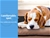 PaWz Heavy Duty Pet Bed Bolster Trampoline Dog Puppy Cat Hammock Mesh L