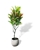 125cm Faux Artificial Potted Codiaeum Variegatum/Croton Plant Home Décor