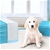 400pcs Puppy Dog Pet Training Pads Cat Toilet 60 x 60cm Super Absorbent