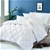 Sleepcare 500GSM Winterweight Microfibre Quilt - Super King Bed