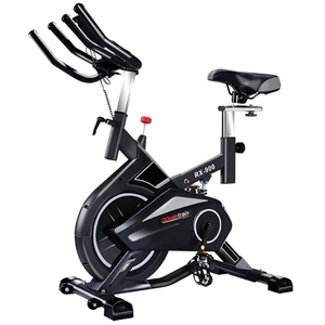 Powertrain RX-900 Exercise Spin Bike Car