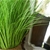 SOGA 137cm Artificial Potted Bulrush Grass Fake Plant Simulation Decor