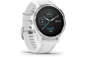 Garmin Fenix 6S GPS Smart Watch Silver W