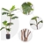 SOGA 90cm 2-Trunk Artificial Split-Leaf Philodendron Plant Home Office