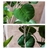 SOGA 95cm Artificial Indoor Pocket Money Tree Fake Plant Simulation