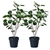 SOGA 2X 95cm Artificial Indoor Pocket Money Tree Fake Plant Simulation