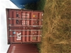 20ft TEX Container