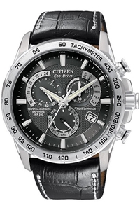 Citizen Perpetual AT Mens Military Watch