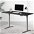 Artiss Standing Desk Adjustable Height Motorised Grey Frame Black 120cm