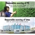 Artificial Grass 45mm 2x5m Synthetic Turf 10SQM GLOSS Fake Yarn Lawn OTANIC