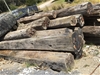 Large Quantity of Assorted Timber Bridge Planks