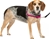 ASSORTED SMALL DOG HARNESS BUNDLE: 1 x PETSAFE Easy Walk Dog Harness, Raspb