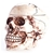 Realistic Skull Cookie Jar