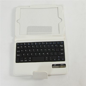 iPad mini Bluetooth Keyboard & Case