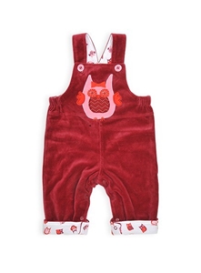 Pumpkin Patch Baby Girl's Velour Dungare