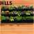 Hills Home Self Watering Garden Wall - Triple Pack