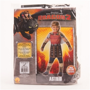How To Train Your Dragon 2 Astrid Costum